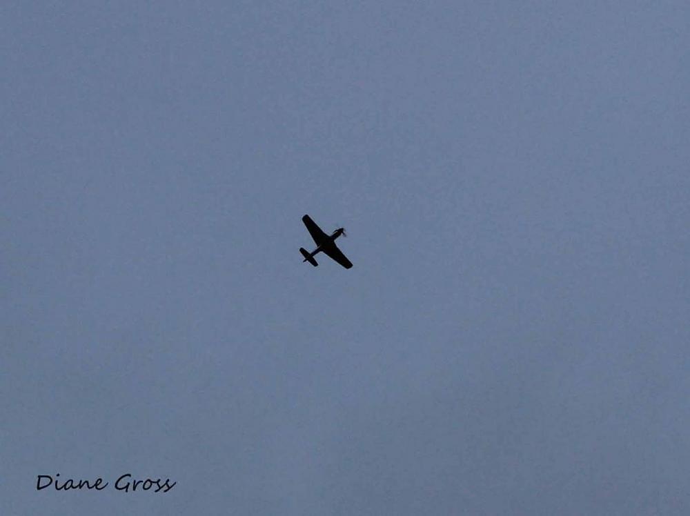 Click image for larger version  Name:	IMG_9511.JPG Views:	0 Size:	41.5 KB ID:	265016