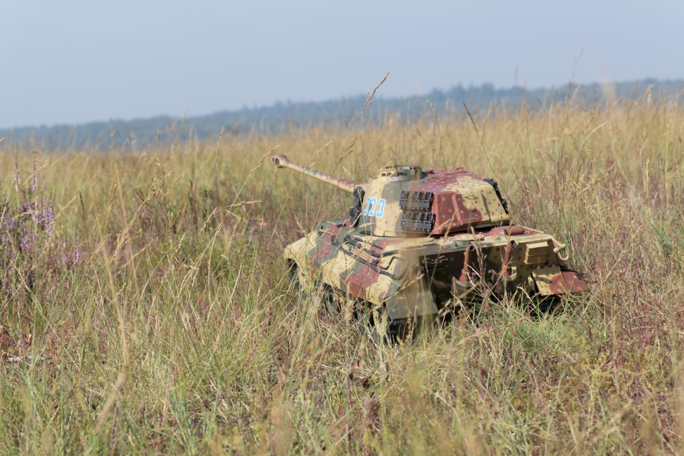 Click image for larger version

Name:	Ginkelse Heide_140820_003.jpg
Views:	720
Size:	195.0 KB
ID:	268589