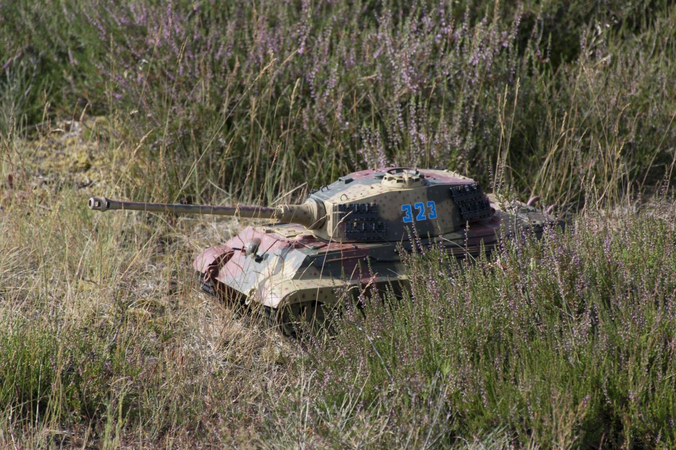 Click image for larger version

Name:	Ginkelse Heide_140820_025.jpg
Views:	669
Size:	267.3 KB
ID:	268591