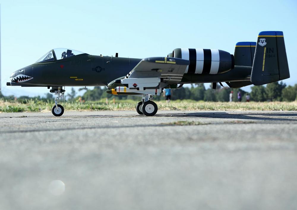 Click image for larger version Name:	A-10-6.JPG Views:	0 Size:	84.3 KB ID:	303558