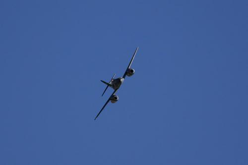 Click image for larger version

Name:	IMG_3728.JPG
Views:	920
Size:	27.2 KB
ID:	272046