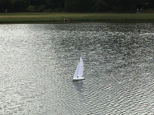 Click image for larger version

Name:	Bancroft Sportsail 5.jpeg
Views:	1683
Size:	264.3 KB
ID:	276923