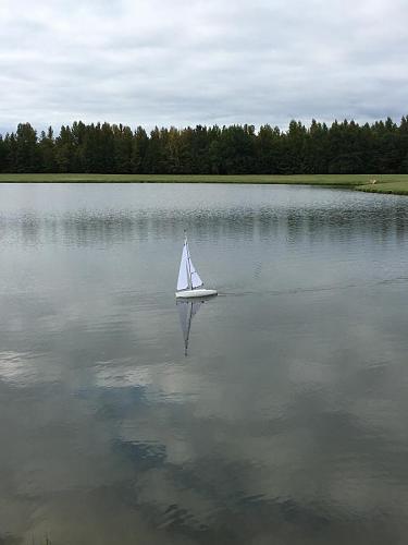 Click image for larger version

Name:	Bancroft Sportsail 3.jpeg
Views:	1691
Size:	49.6 KB
ID:	276924