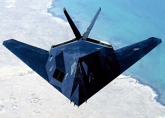 Click image for larger version

Name:	F-117.jpg
Views:	472
Size:	56.8 KB
ID:	278333