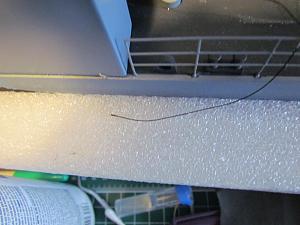 Click image for larger version

Name:	IMG_1947.JPG
Views:	834
Size:	94.5 KB
ID:	282770