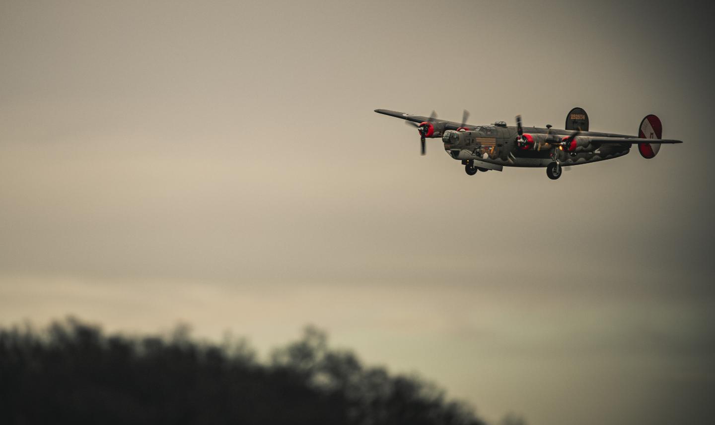 Click image for larger version

Name:	028A1806.jpg
Views:	521
Size:	45.0 KB
ID:	288696