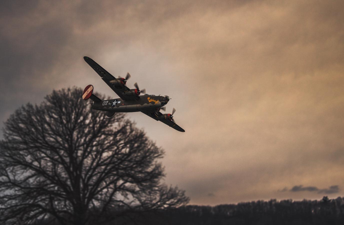 Click image for larger version

Name:	028A1768.jpg
Views:	464
Size:	80.7 KB
ID:	288697