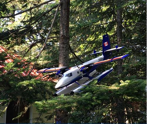Click image for larger version

Name:	Eflite Twin Otter in a Pine Tree.JPG
Views:	1088
Size:	198.1 KB
ID:	288884