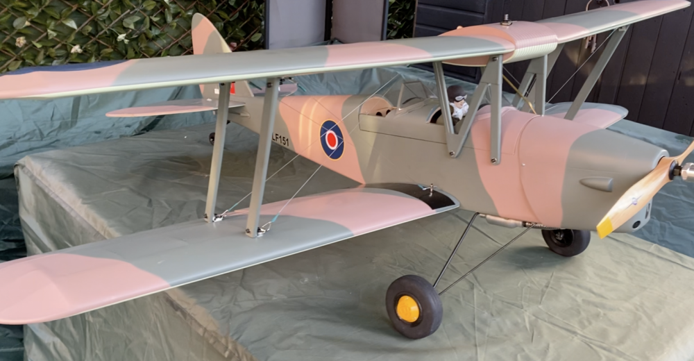 Click image for larger version  Name:	Nexa Tiger moth Camo.png Views:	0 Size:	1.24 MB ID:	292372