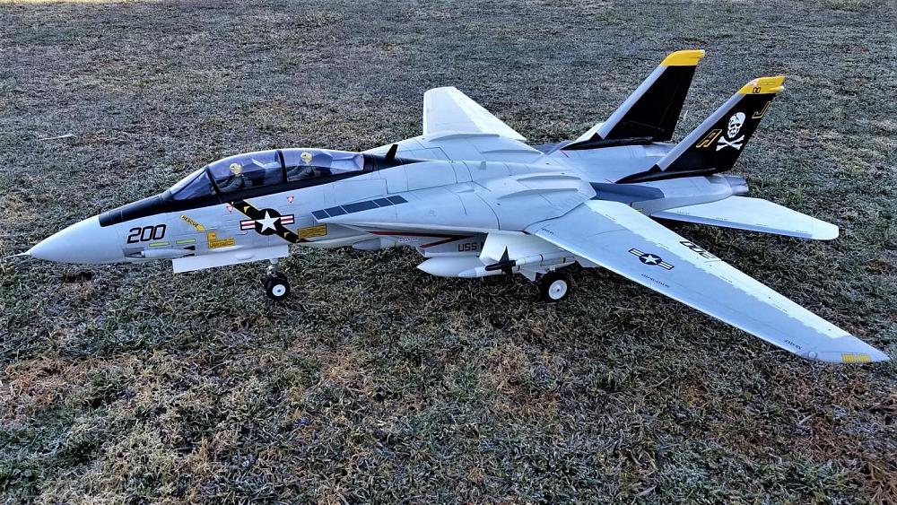 Click image for larger version

Name:	Freewing Tomcat 2.1.jpg
Views:	1511
Size:	367.4 KB
ID:	301452