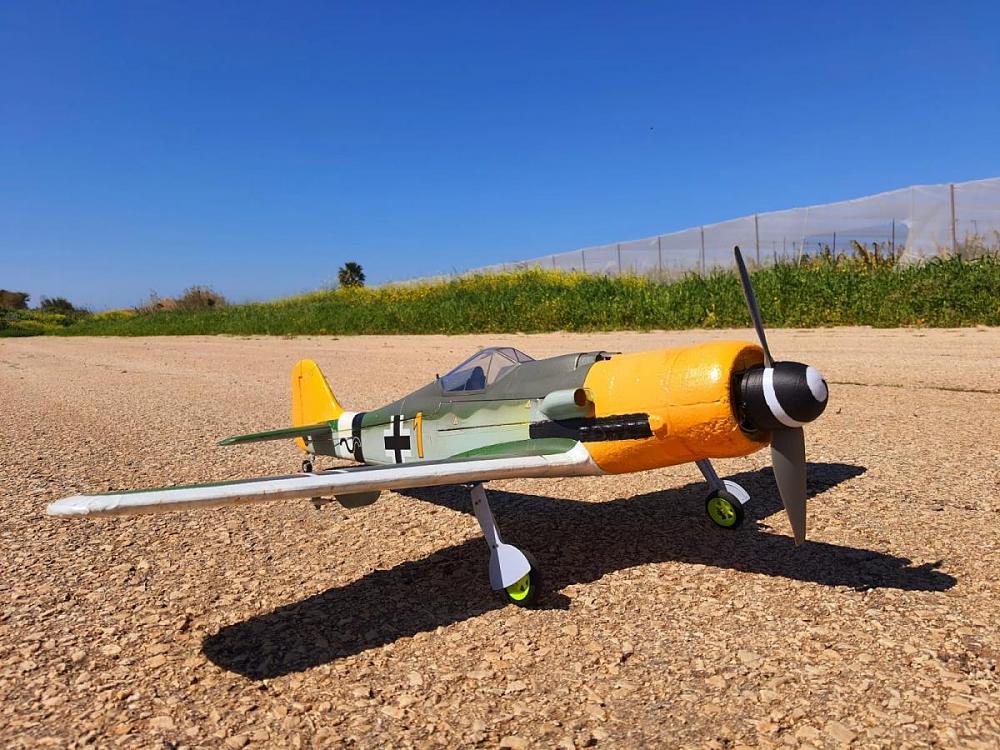Click image for larger version

Name:	FW-190D v2.jpg
Views:	824
Size:	184.3 KB
ID:	302745