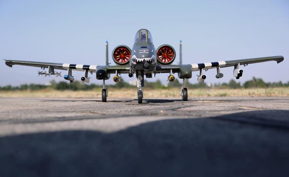 Click image for larger version Name:	A-10-1.JPG Views:	0 Size:	80.6 KB ID:	303554