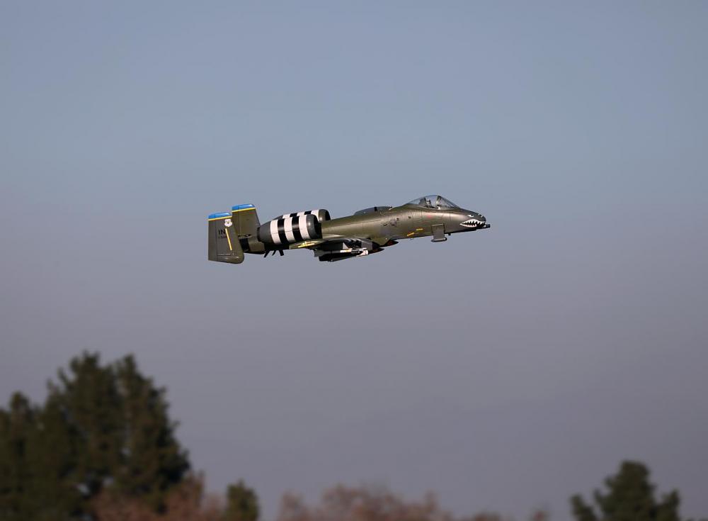 Click image for larger version Name:	A-10-2.JPG Views:	0 Size:	33.0 KB ID:	303559