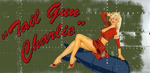 Click image for larger version

Name:	TailGunCharlie_Feature%20Graphic.jpg
Views:	611
Size:	42.7 KB
ID:	305089