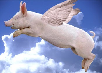 Click image for larger version

Name:	Flying+Pig.jpg
Views:	727
Size:	20.9 KB
ID:	306144