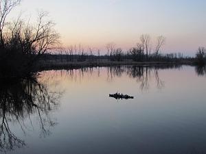 Click image for larger version  Name:	IMG_2226.JPG Views:	0 Size:	90.6 KB ID:	307202