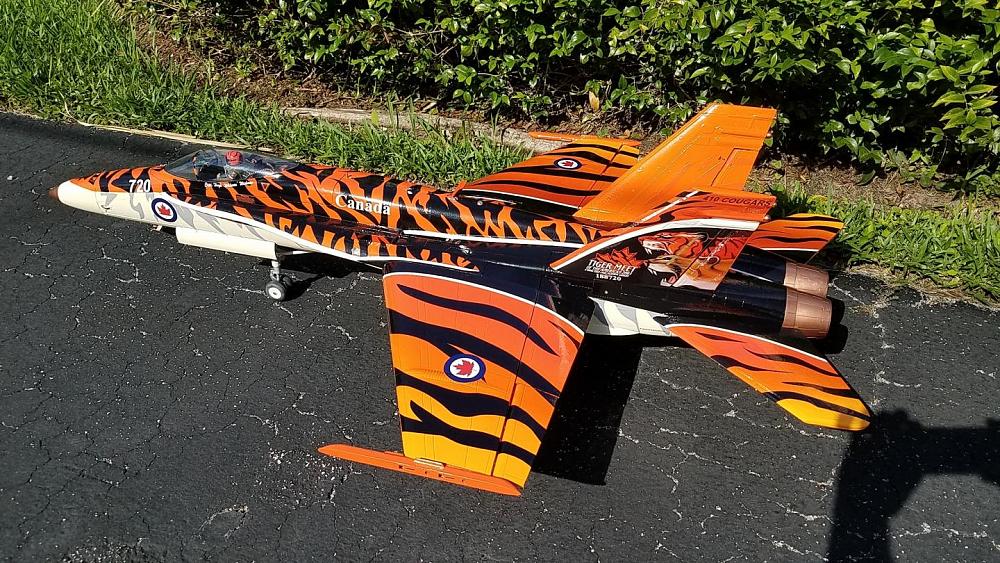 Click image for larger version  Name:	H Wiedman-F18 Tiger Meet.jpg Views:	0 Size:	329.5 KB ID:	318502