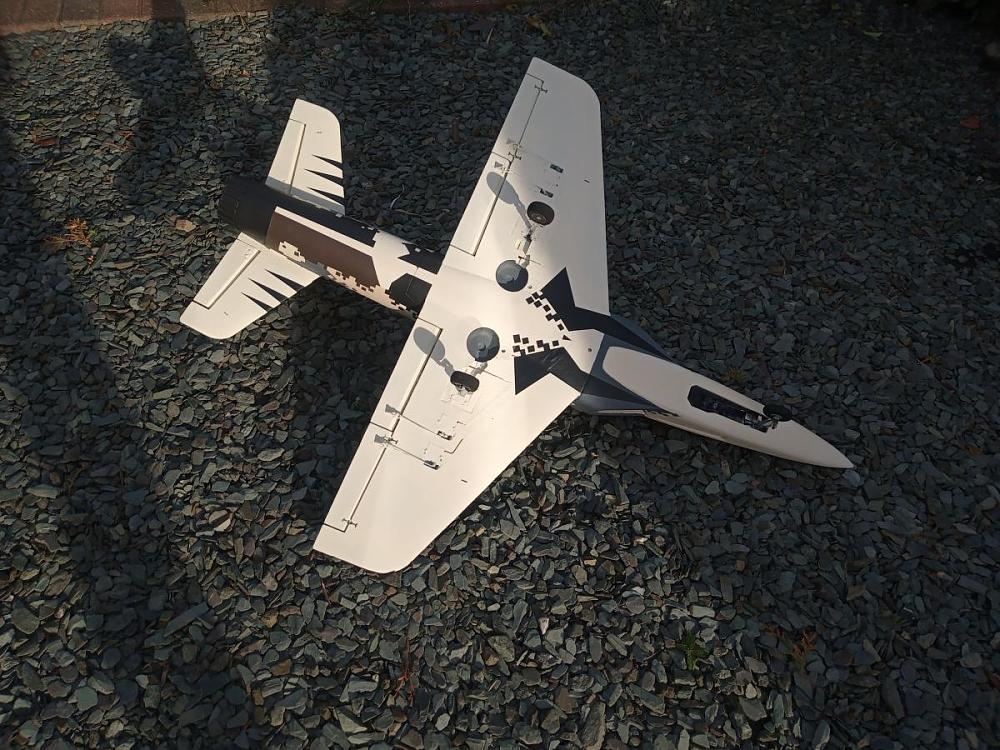 Click image for larger version

Name:	REbel mk2 gear down.jpg
Views:	669
Size:	198.3 KB
ID:	328360