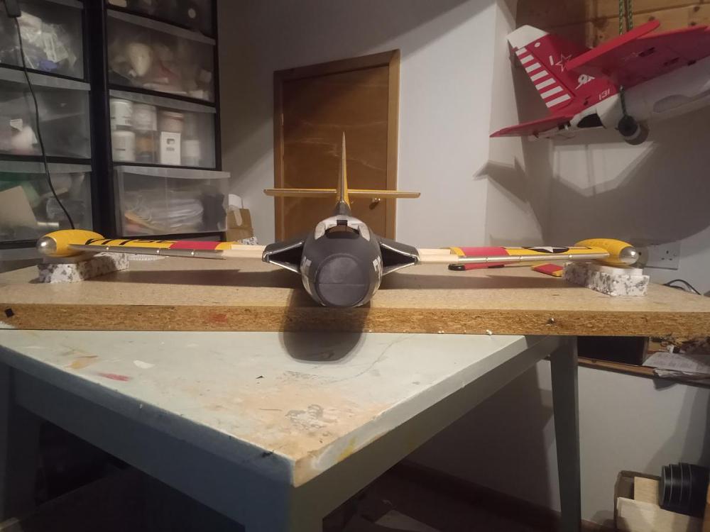 Click image for larger version

Name:	Panther wing setup 1.jpg
Views:	1051
Size:	83.2 KB
ID:	333524