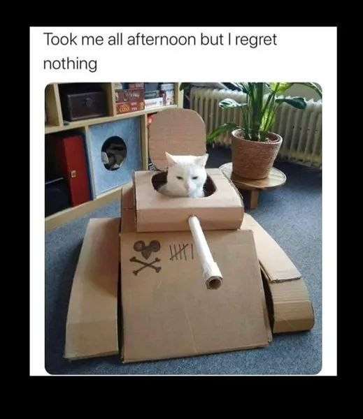 Click image for larger version

Name:	cat tank.jpg
Views:	579
Size:	50.1 KB
ID:	353265