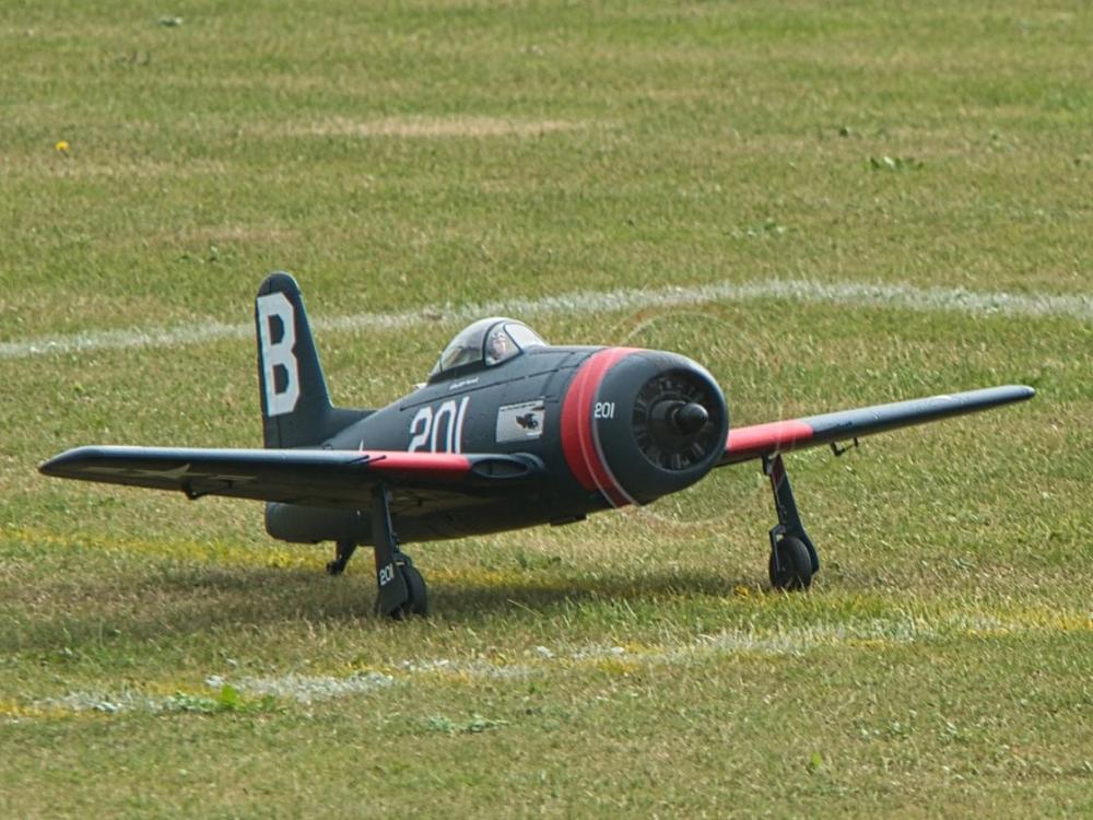 Click image for larger version  Name:	Bearcat at warbirds day.jpg Views:	0 Size:	218.7 KB ID:	356555