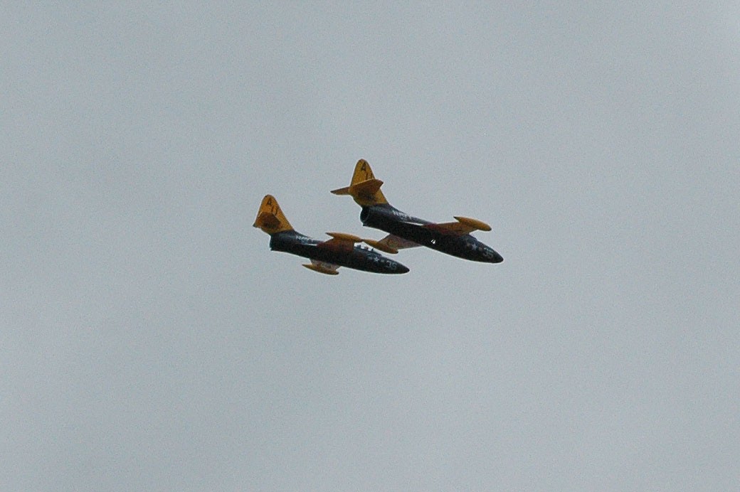 Freewing F8F Panthers in Formation