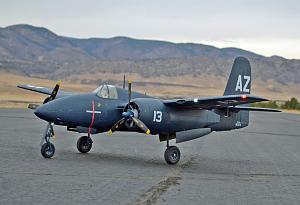 Click image for larger version

Name:	DSC_6214.jpgcropped.jpglightened.jpg
Views:	430
Size:	98.4 KB
ID:	366971