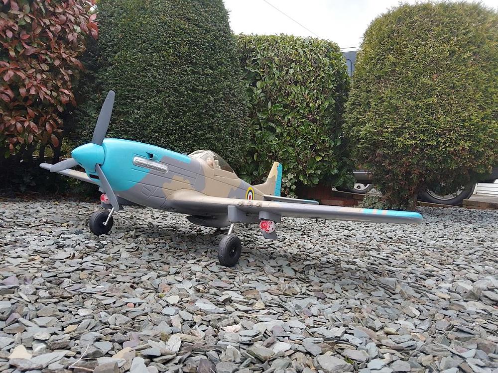 Click image for larger version

Name:	egg drop Mustang.jpg
Views:	417
Size:	333.6 KB
ID:	374644