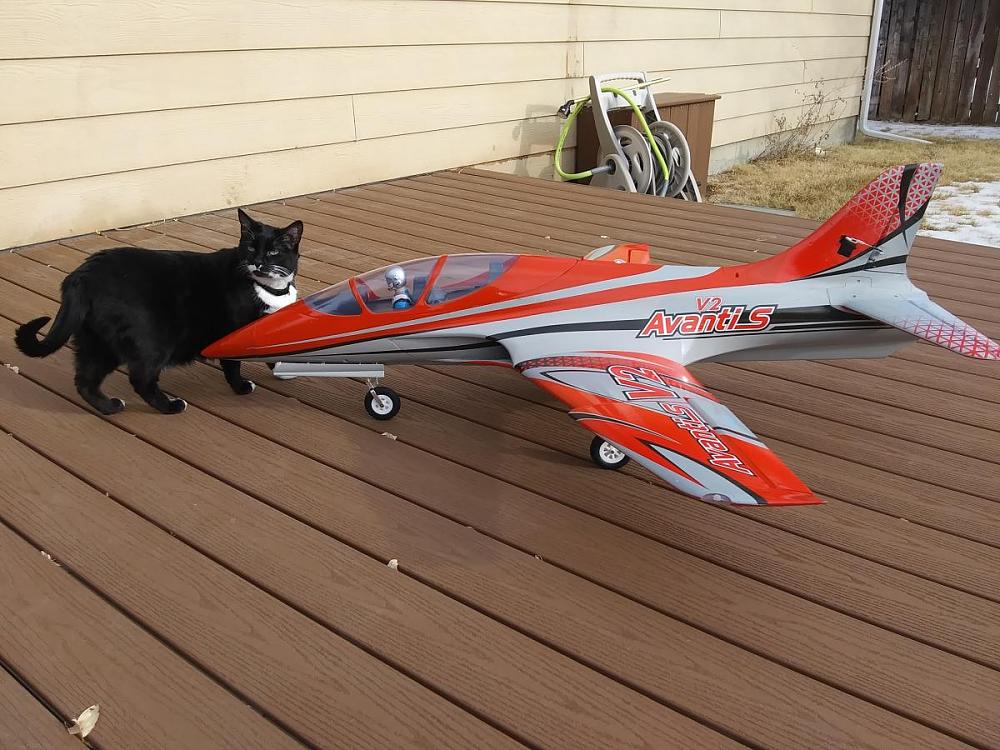 Click image for larger version

Name:	20240122_112030.jpg
Views:	1253
Size:	160.5 KB
ID:	395496