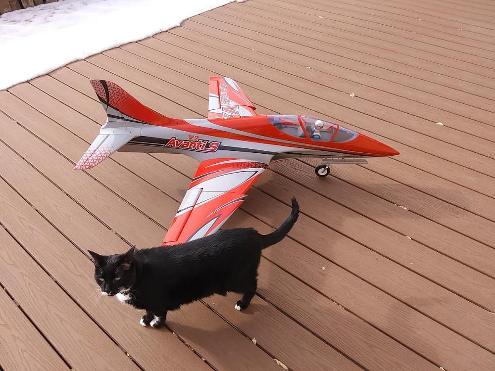 Click image for larger version

Name:	20240122_112044.jpg
Views:	1259
Size:	152.2 KB
ID:	395497