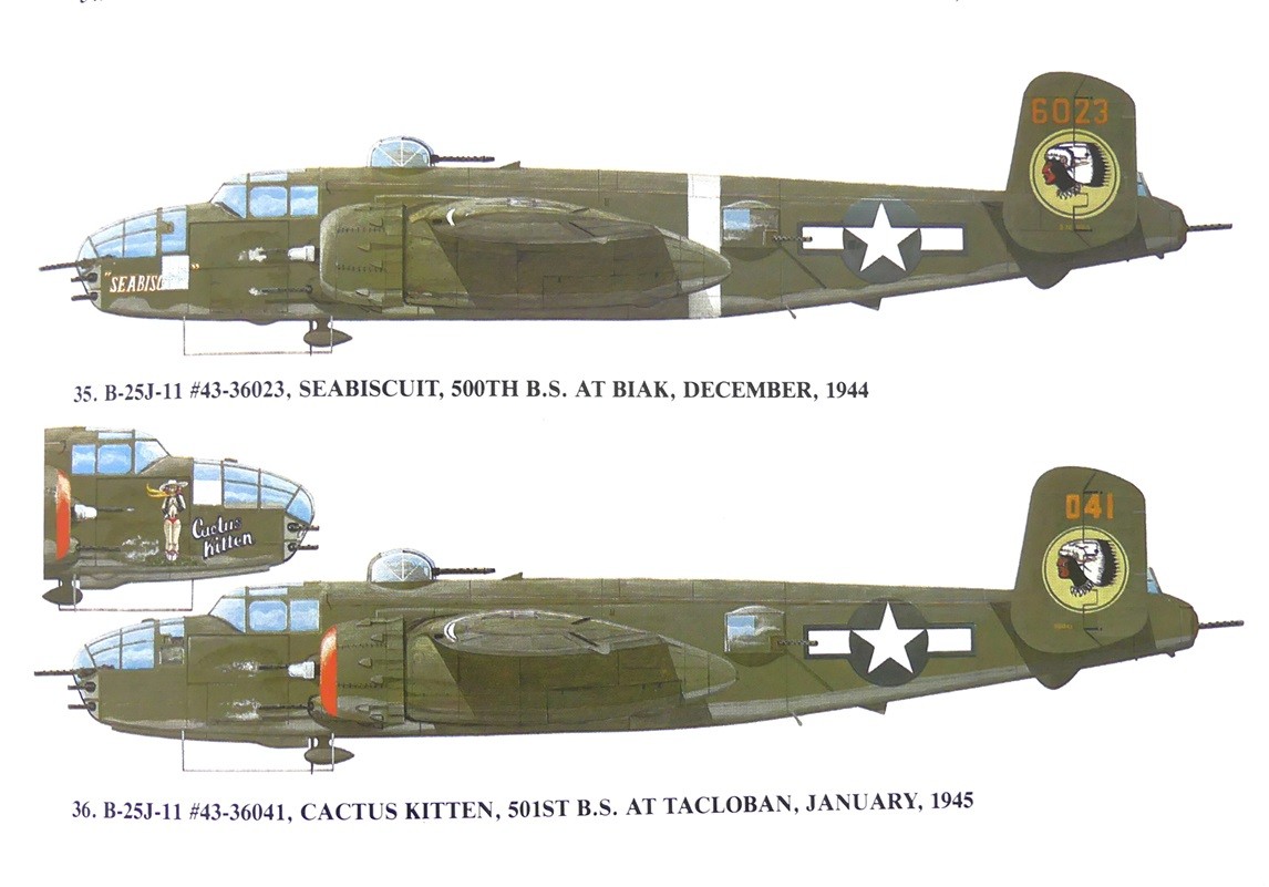 Click image for larger version

Name:	Cactus Kitten.jpg
Views:	341
Size:	137.0 KB
ID:	412338