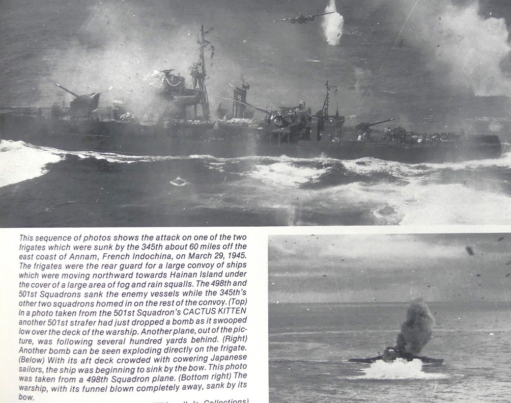 Click image for larger version

Name:	Cactus Kitten-1.jpg
Views:	322
Size:	239.1 KB
ID:	412339