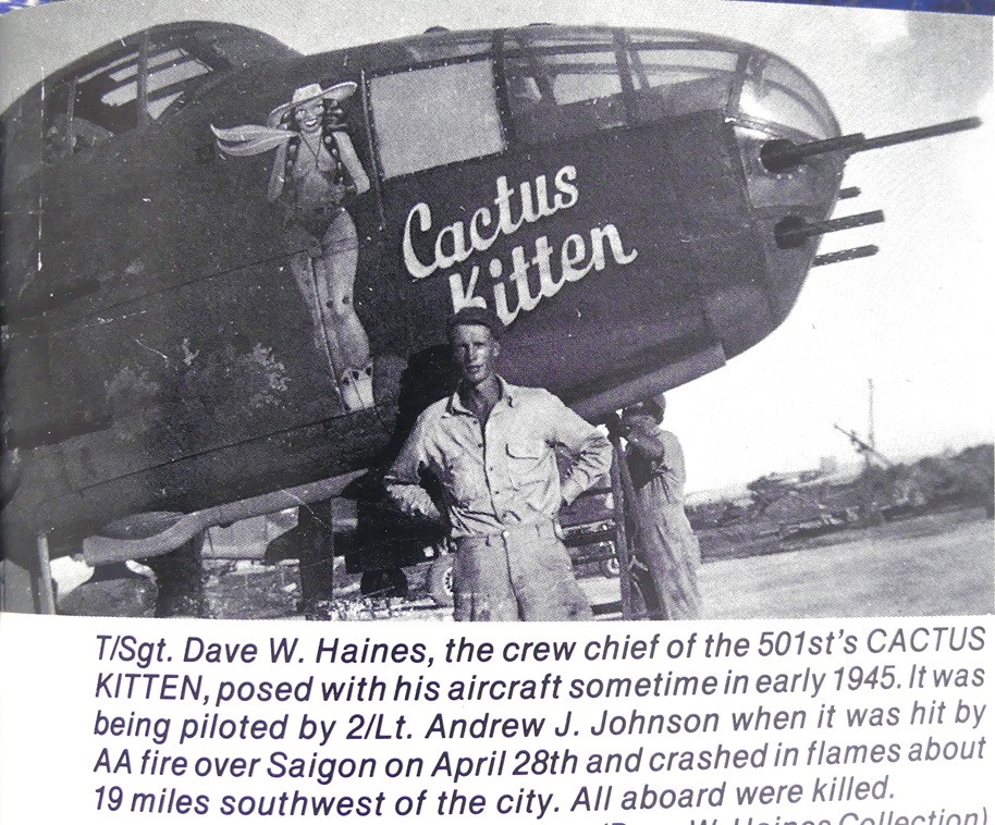 Click image for larger version

Name:	Cactus Kitten-2.jpg
Views:	332
Size:	264.3 KB
ID:	412340