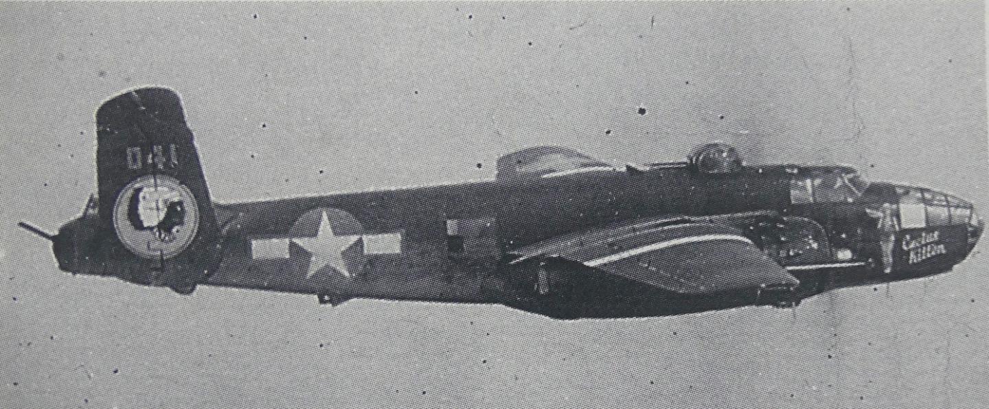 Click image for larger version

Name:	Cactus Kitten-3.jpg
Views:	326
Size:	215.5 KB
ID:	412341