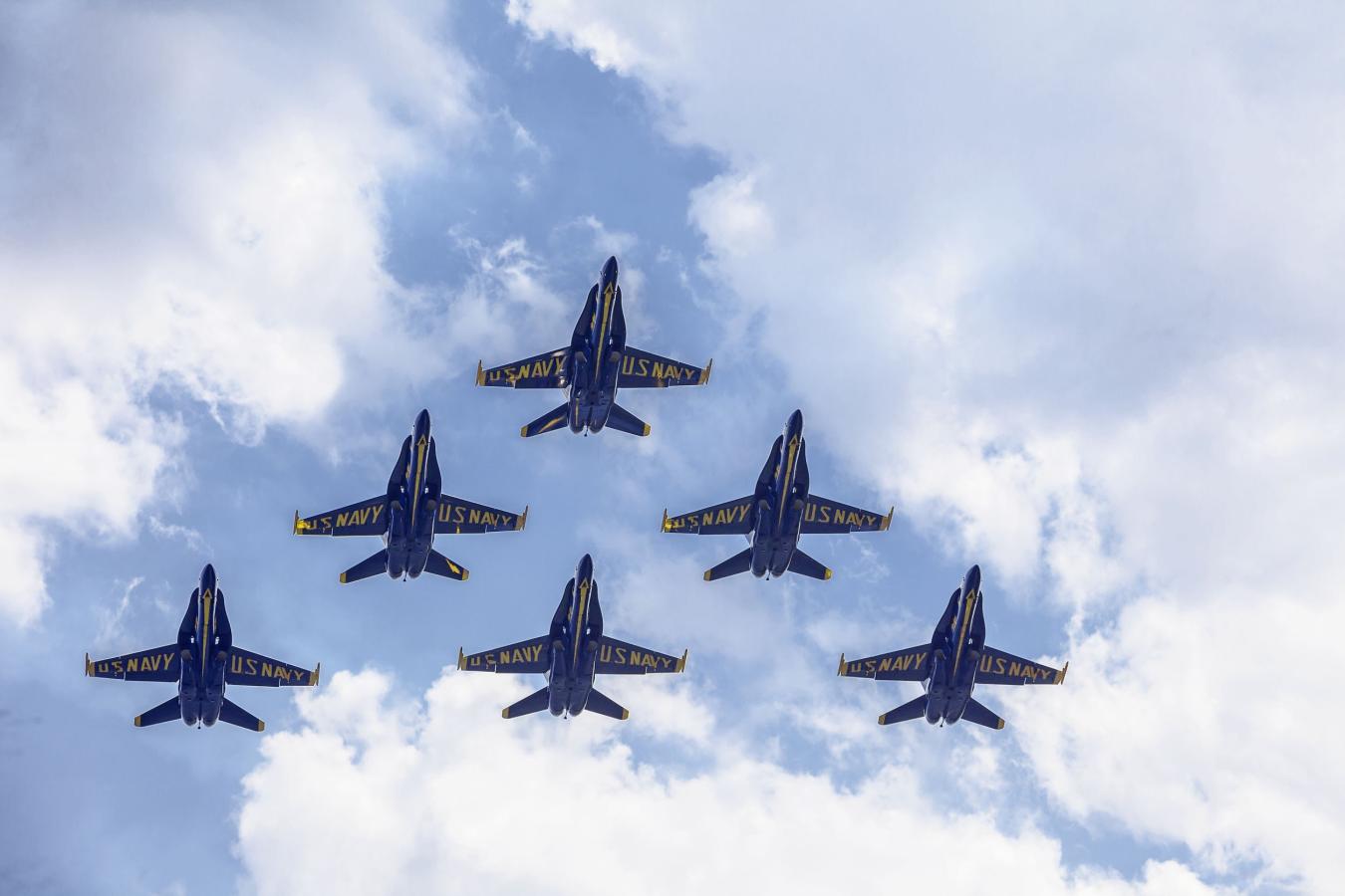 Click image for larger version

Name:	Blues Full Formation 2025.jpg
Views:	167
Size:	77.0 KB
ID:	428494