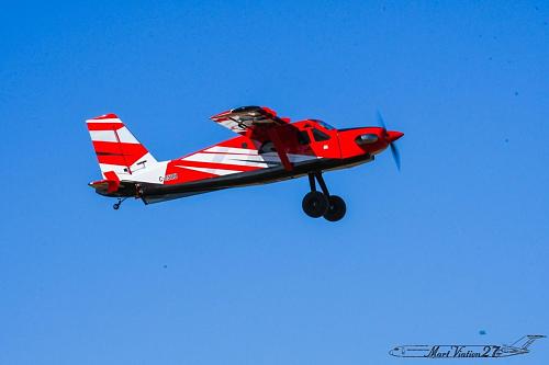 Click image for larger version

Name:	Bushman.jpg
Views:	79
Size:	68.4 KB
ID:	444764