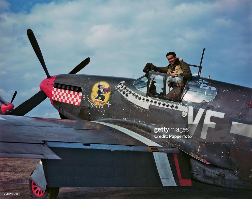 Click image for larger version

Name:	gettyimages-79028563-2048x2048.jpg
Views:	6
Size:	107.5 KB
ID:	448898