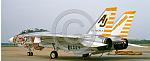 Click image for larger version

Name:	F-14_VF-142.jpg
Views:	884
Size:	109.1 KB
ID:	127927