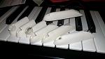Click image for larger version

Name:	FA18C-LED linkage covers.jpg
Views:	1383
Size:	74.3 KB
ID:	195524
