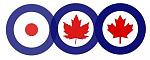 Click image for larger version

Name:	84-roundel-evolution.jpg
Views:	1003
Size:	22.5 KB
ID:	206741
