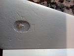 Click image for larger version

Name:	IMG_20200122_170752.jpg
Views:	1383
Size:	63.7 KB
ID:	232966