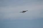 Click image for larger version

Name:	IMG_8922.JPG
Views:	510
Size:	27.7 KB
ID:	237892