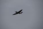 Click image for larger version

Name:	Spitfire MK9 in vlucht 5.JPG
Views:	1085
Size:	33.6 KB
ID:	317630