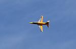 Click image for larger version

Name:	EastsideSep03_2021_NIK_0059_cropped.JPG
Views:	981
Size:	117.6 KB
ID:	323987