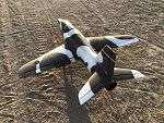 Click image for larger version

Name:	Vulhawk02.jpg
Views:	655
Size:	390.7 KB
ID:	339024