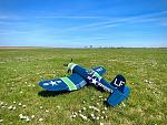 Click image for larger version

Name:	Corsair in the grass.jpg
Views:	433
Size:	244.3 KB
ID:	343614