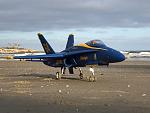 Click image for larger version

Name:	IMG_7805.jpg
Views:	1094
Size:	68.5 KB
ID:	348405