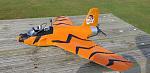 Click image for larger version

Name:	pi5 tiger.jpg
Views:	814
Size:	171.2 KB
ID:	351036
