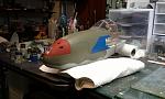 Click image for larger version

Name:	Nose repaint almost done..jpg
Views:	796
Size:	968.0 KB
ID:	35730