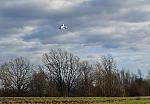 Click image for larger version

Name:	approach1.jpg
Views:	656
Size:	124.4 KB
ID:	365667